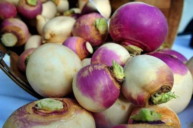 Turnip Seeds - Purple Top White Globe Heirloom Brassica rapa - Non-GMO, 100 Seeds for Home Garden, Fall & Spring Planting
