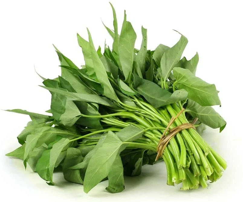 Water Spinach Seeds - 50 Pack Ong Choy Ipomoea aquatica for Aquaponics & Hydroponics