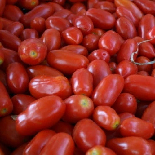 San Marzano Tomato Seeds - Heirloom Non-GMO Indeterminate Solanum lycopersicum, Perfect for Sauces & Canning