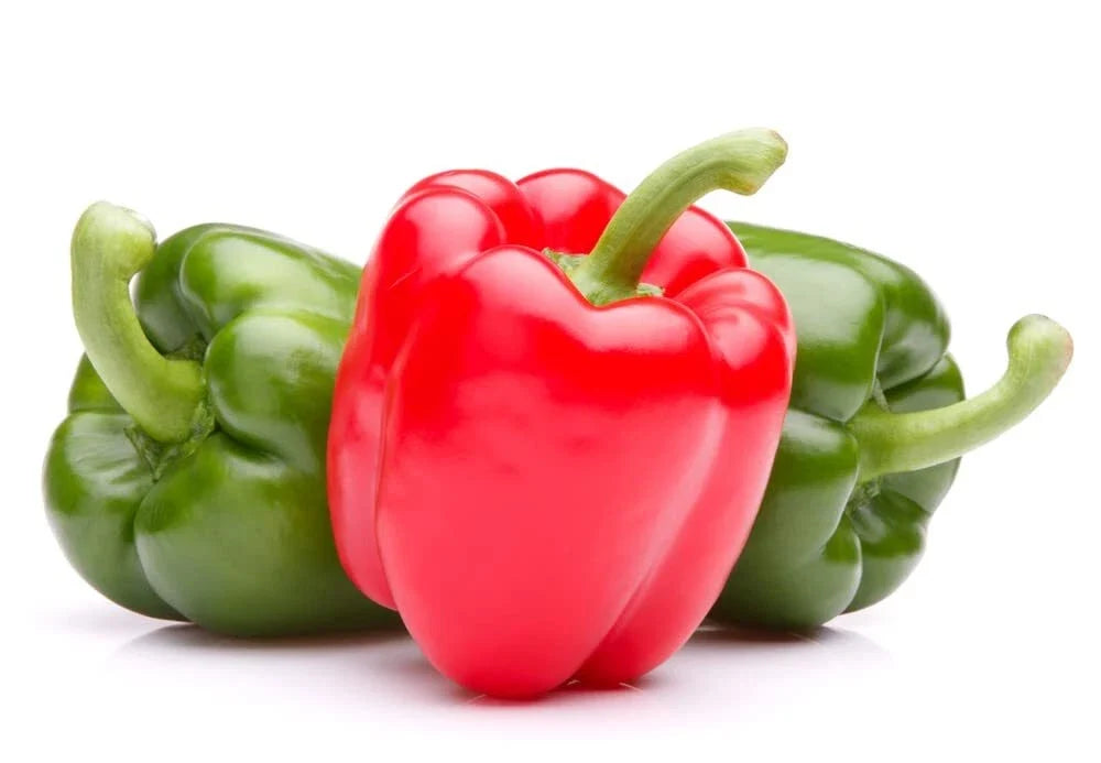 Giant Sweet Pepper Seeds - Ozark Variety - Capsicum annuum - Grow Large Bell Peppers at Home