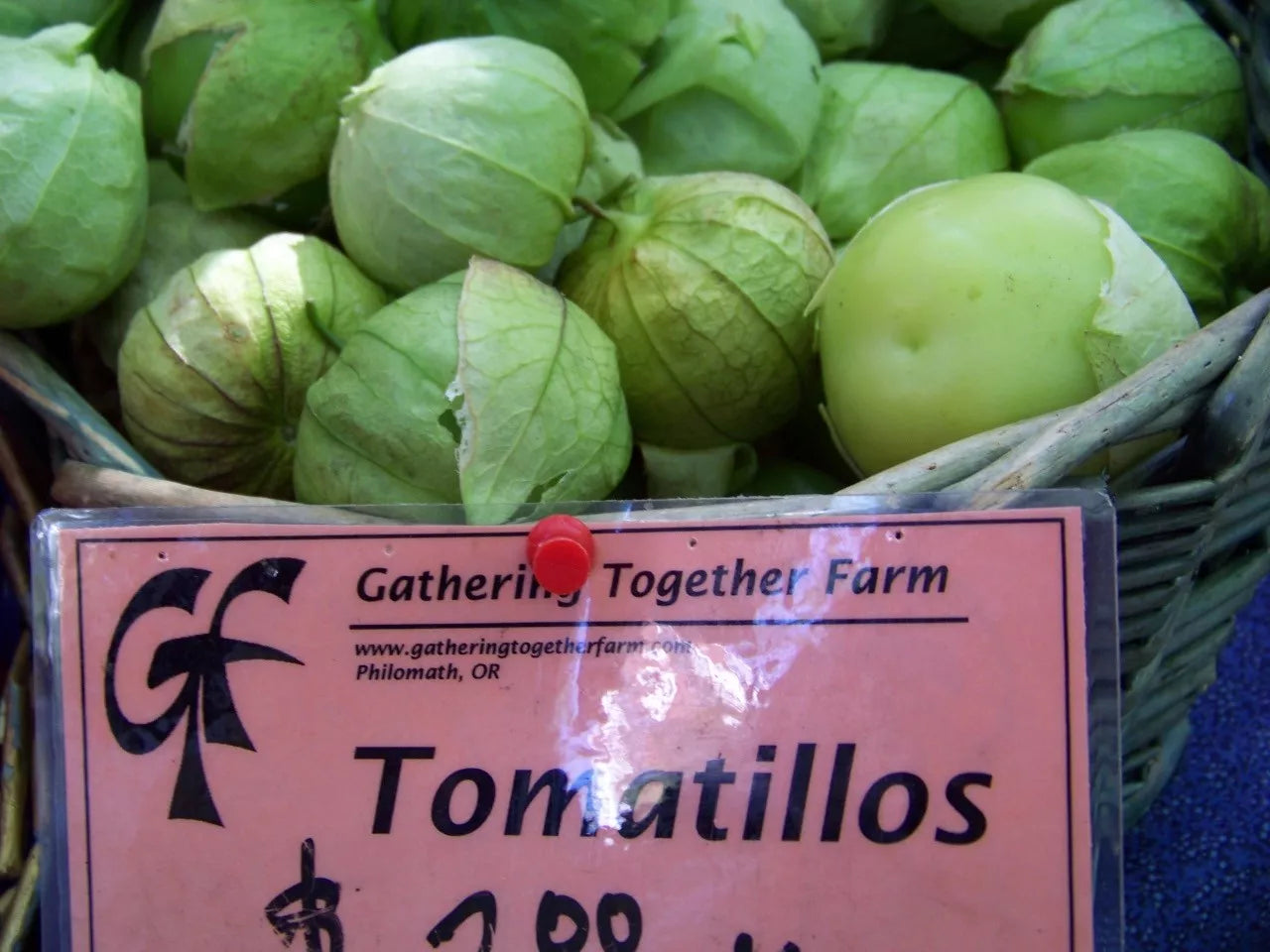 Tomatillo Seeds - 100 Seeds Toma Verde for Salsa - Physalis ixocarpa - GroCo USA
