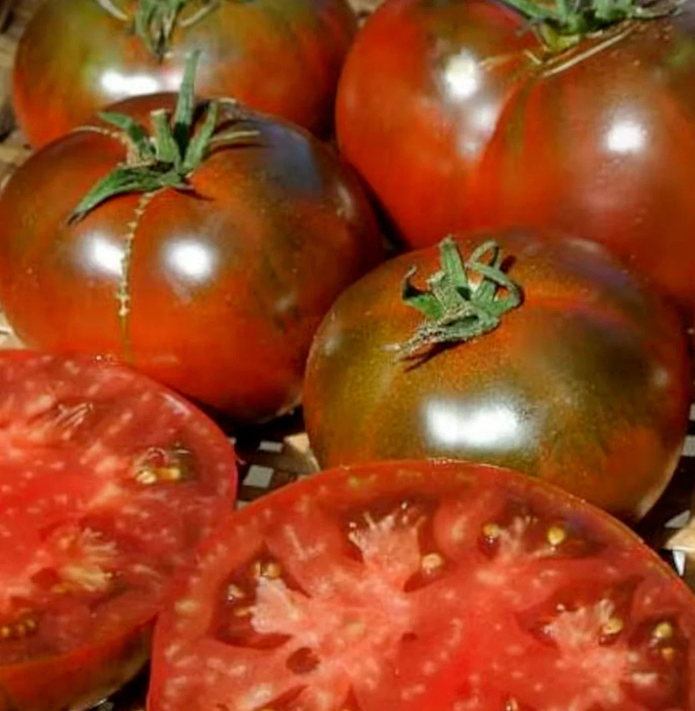 Paul Robeson Tomato Seeds - 50+ Heirloom Beefsteak Indeterminate Vegetable - Solanum lycopersicum