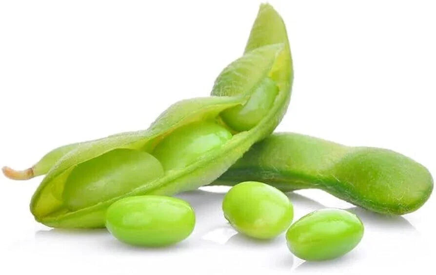 Edamame Seeds - 10 Pack - Non-GMO Organic Glycine max Heirloom Besweet Bean for Home Garden & Container Planting