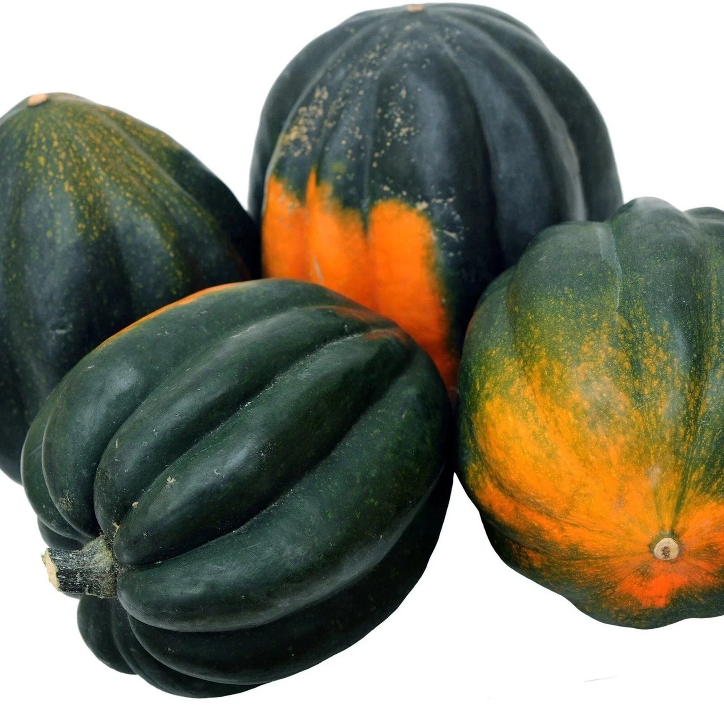 Table Queen Acorn Squash Seeds - Heirloom Organic Non-GMO Cucurbita pepo, 25+ Seeds for Home Gardening