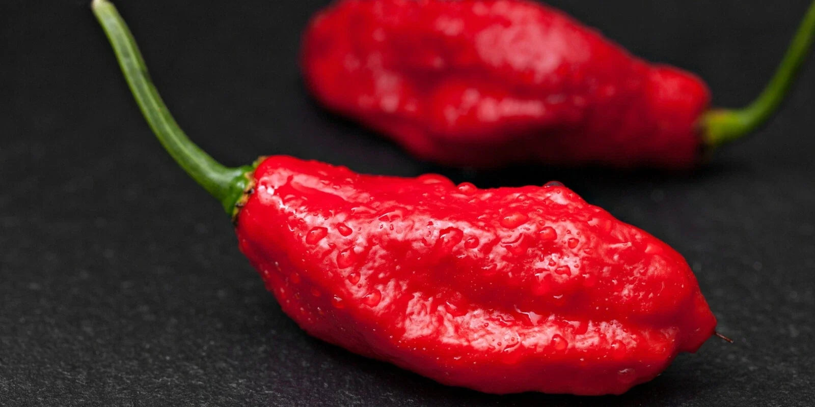 Ghost Pepper Seeds - Capsicum chinense - Spicy Hot Pepper Seeds for Gardening - Fruity, Smoky Flavor, Bright Red