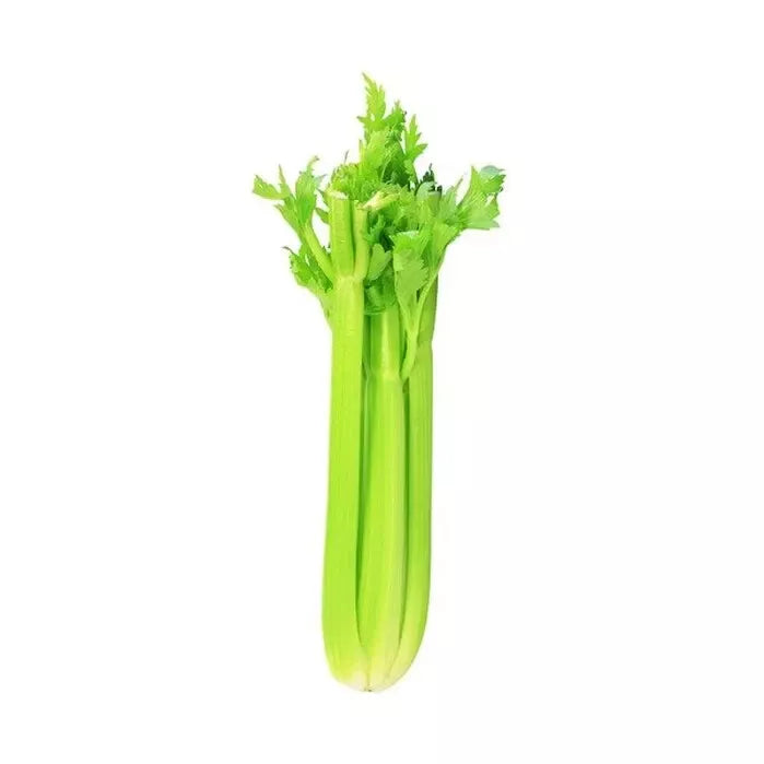 Celery Seeds - 20 Pack Heirloom Vegetable Seeds Apium graveolens - Free USA Shipping