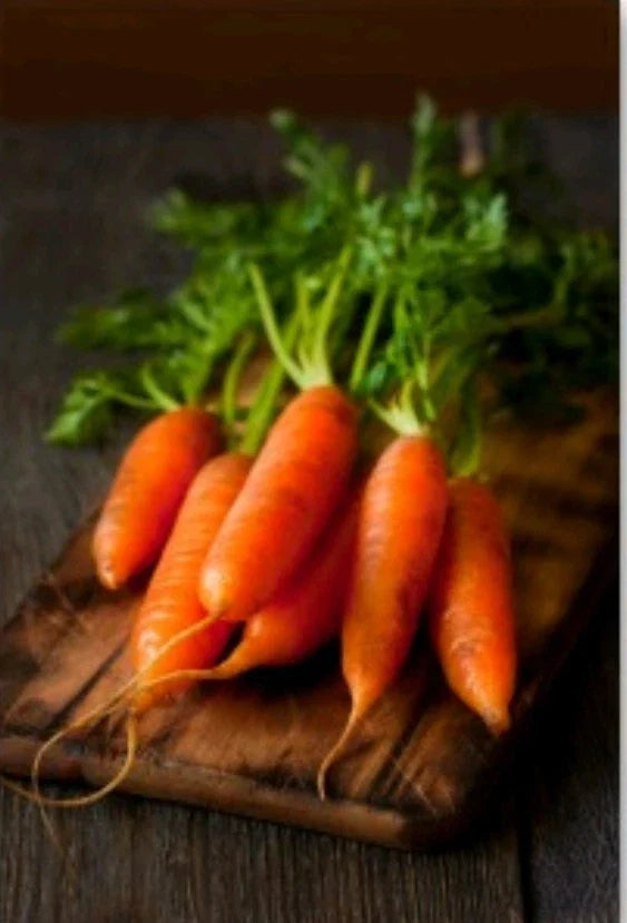 Baby Carrot Seeds - Organic Non-GMO Open Pollinated - Little Fingers Daucus carota - 300+ Seeds for Home Garden