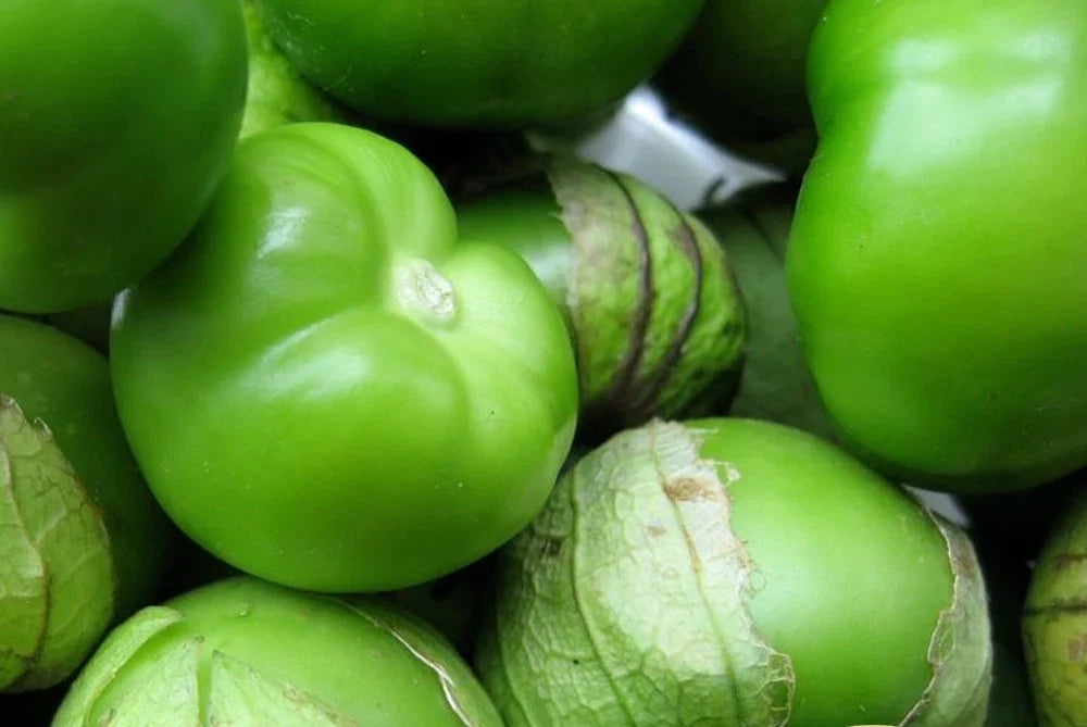 Tomatillo Seeds - 50+ Green Physalis ixocarpa - Heirloom, Non-GMO, Easy to Grow for Salsas & Cooking