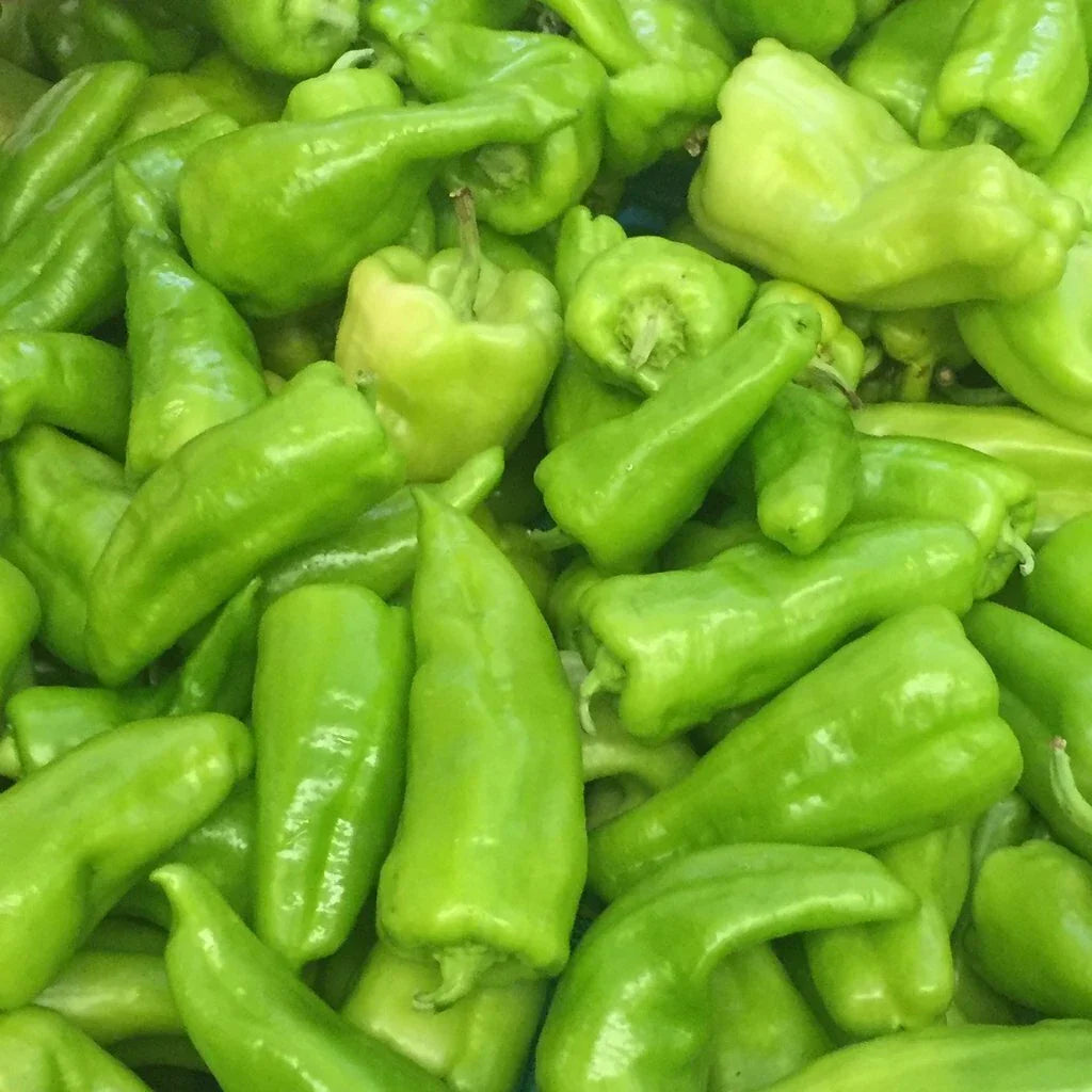 Cubanelle Pepper Seeds 50+ Pack | Sweet Culinary Capsicum annuum for Home Garden