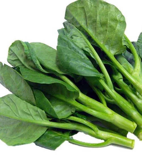 Chinese Kale Seeds - 100+ Brassica oleracea var. alboglabra Gai Lan, Kailaan, Asian Vegetable for Garden & Container Planting