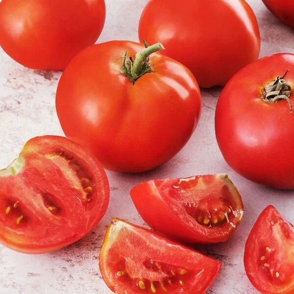 Creole Tomato Seeds - Heirloom Non-GMO Organic Lycopersicon esculentum Seed Packet for Home Gardening
