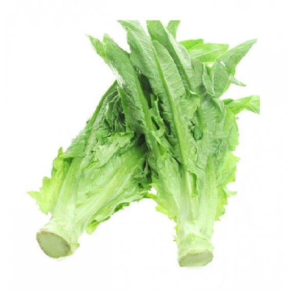 Chinese Leaf Lettuce Seeds - Sword Pointed Variety, Fast Growing, Non-GMO, Brassica rapa var. chinensis, 200+ Seeds for Gardens