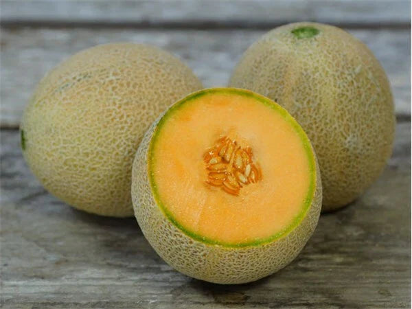 Jumbo Cantaloupe Seeds 50+ Non-GMO Muskmelon - USA Grown