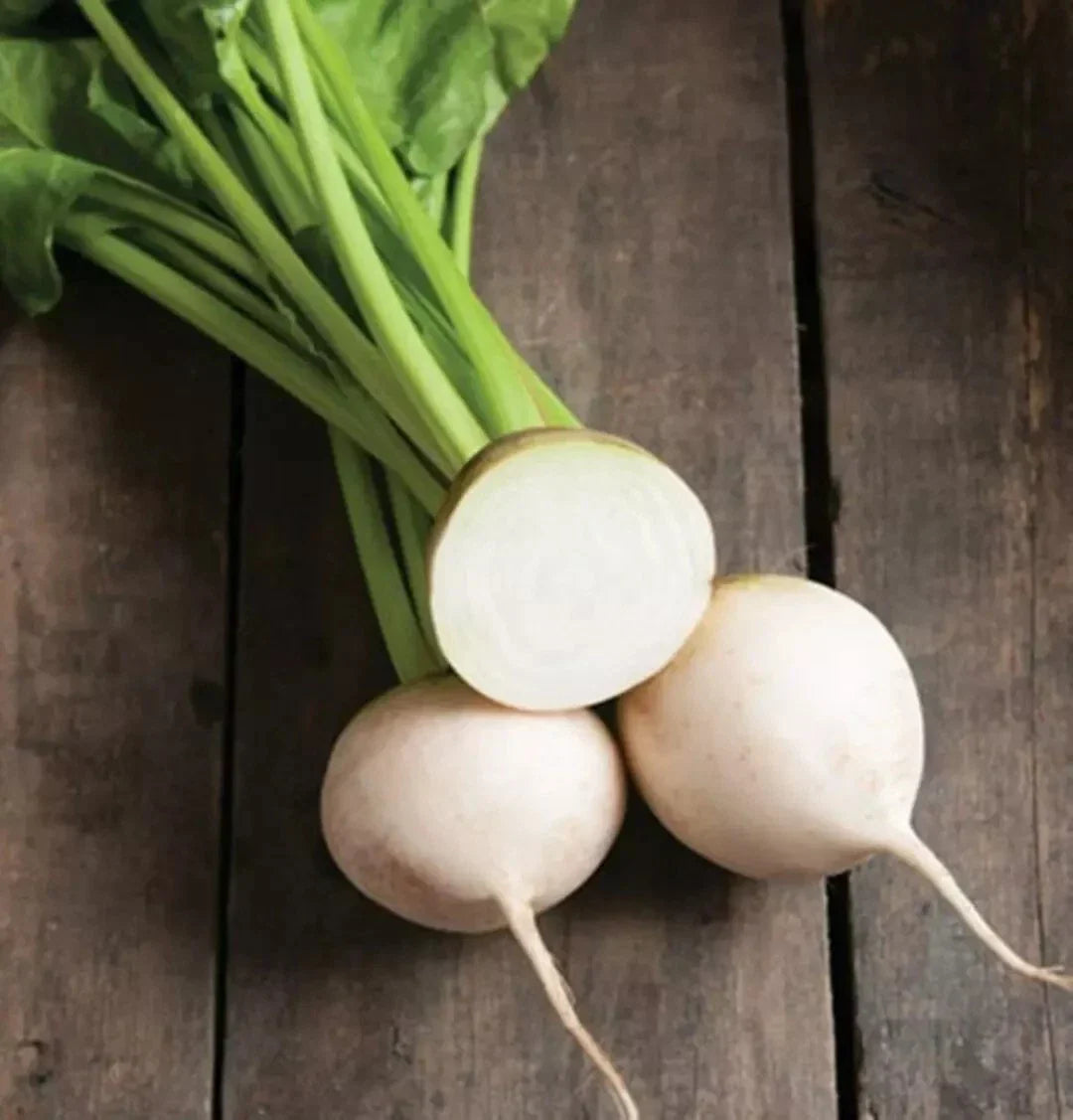 White Albino Beet Seeds - 500+ Heirloom Organic NON-GMO Beetroot Seeds