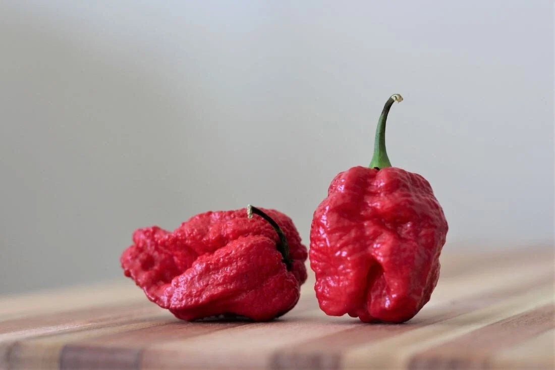 Super-Hot 7 Pot Red Brain Strain Pepper Seeds - 15 Premium Capsicum chinense Chili Seeds for Hot Sauces & Salsas