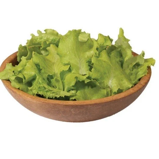 Black Seeded Simpson Lettuce Seeds – Non-GMO, Loose-Leaf, Lactuca sativa, Pack of 250+ Seeds for Home Gardening