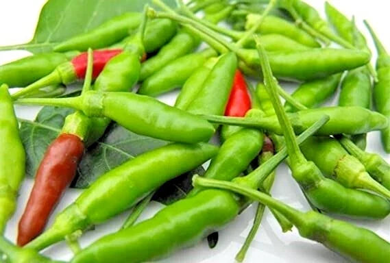 Thai Bird Pepper Seeds - 20 Count, Hot Capsicum annuum, Small Fiery Peppers for Cooking & Garden, Spicy Thai Chili Seeds