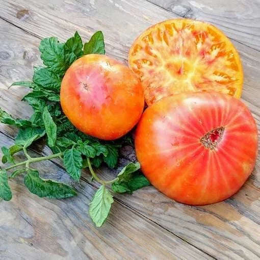 Rainbow Tomato Seeds - Organic Heirloom Non-GMO Solanum lycopersicum, Vibrant Colorful Tomatoes for Home Gardening