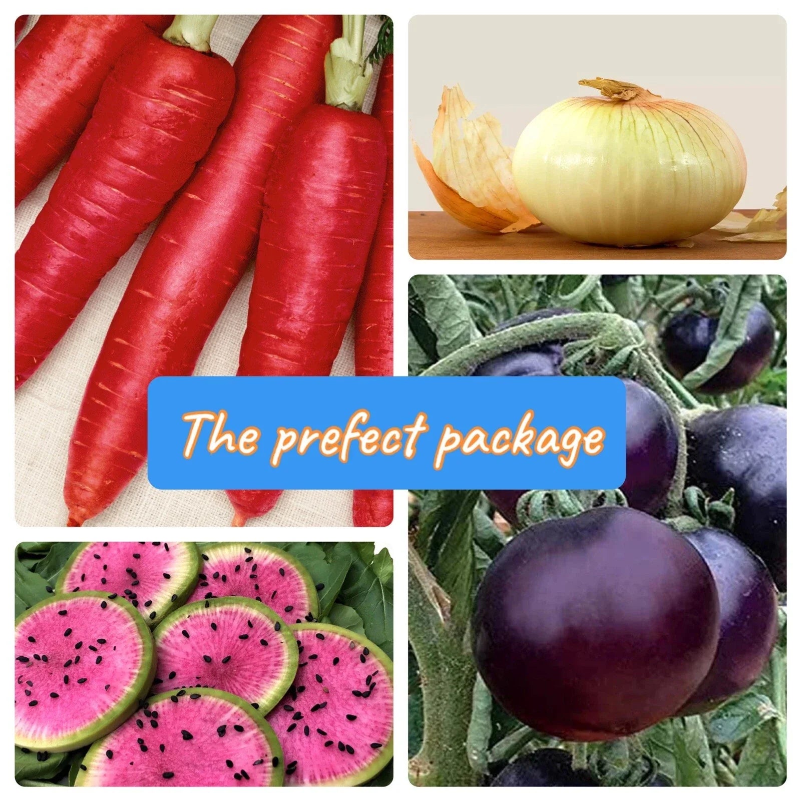 Vegetable Seed Packets | Rare Heirloom Non-GMO Variety Collection | Organic Garden Seeds for Home Growing