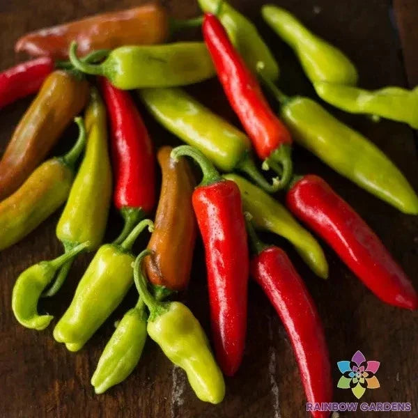 Italian Pepperoncini Seeds – 25+ Non-GMO, Organic Capsicum annuum for Garden, Salad, and Sandwiches