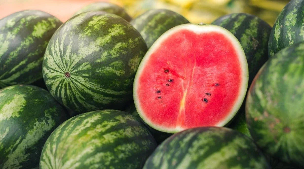 Picnic Watermelon Seeds - 50+ Pack for Garden Planting Citrullus lanatus Non-GMO, USA Grown, Full Sun, Backyard Gardening