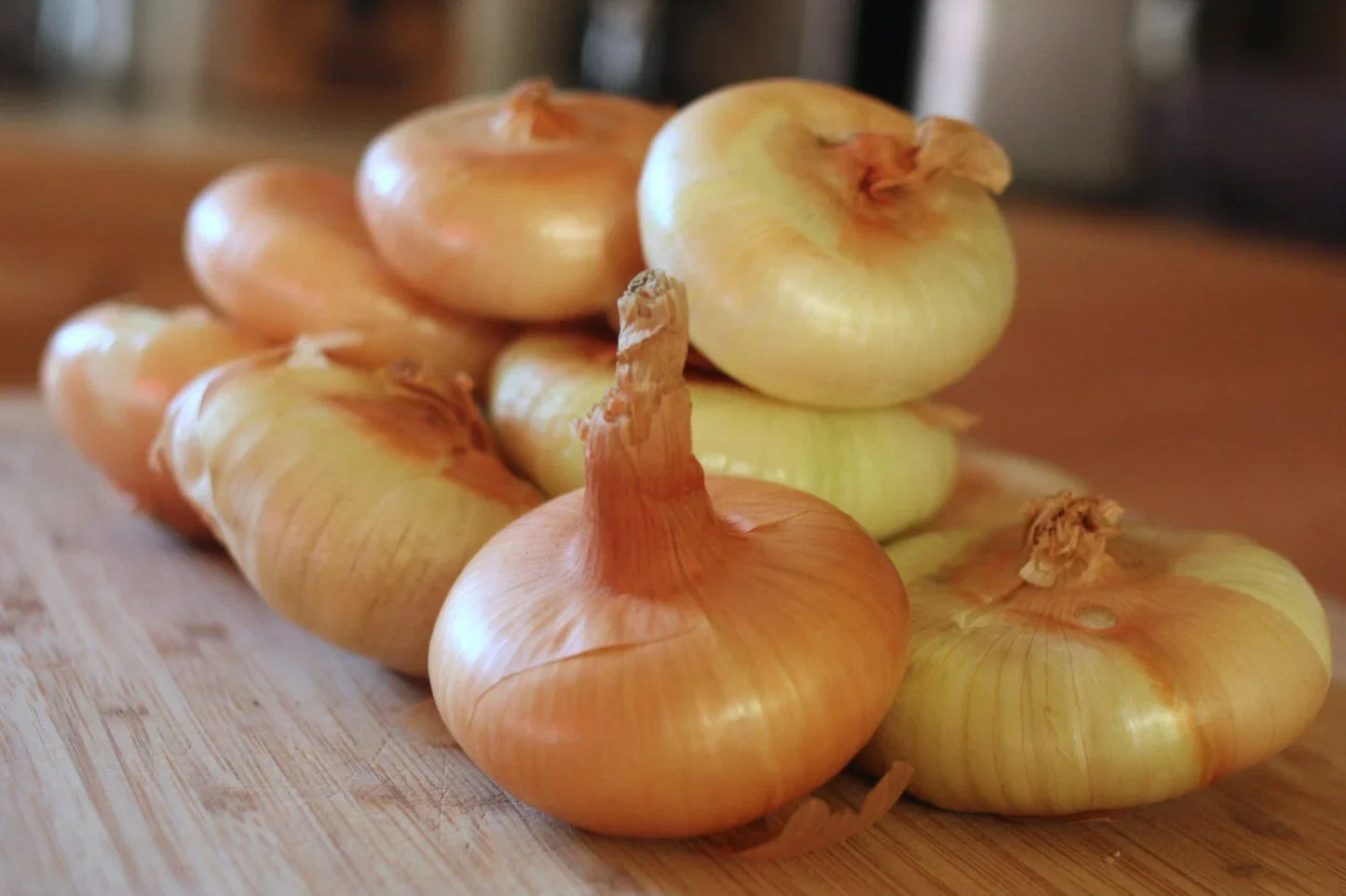 Yellow Cipollini Onion Seeds NON-GMO | Italian Cipollini Giallo Onion
