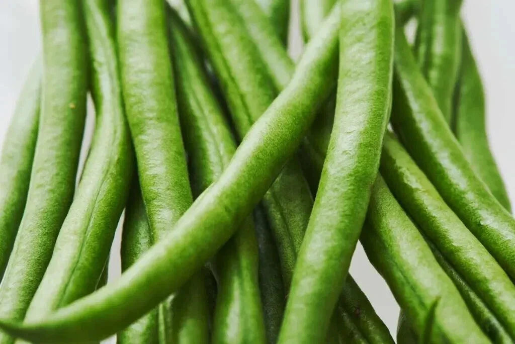 Kentucky Wonder Pole Bean Seeds - Heirloom Phaseolus vulgaris Climbing Vine, 20 Seeds, Perfect for Trellising & Vertical Gardening