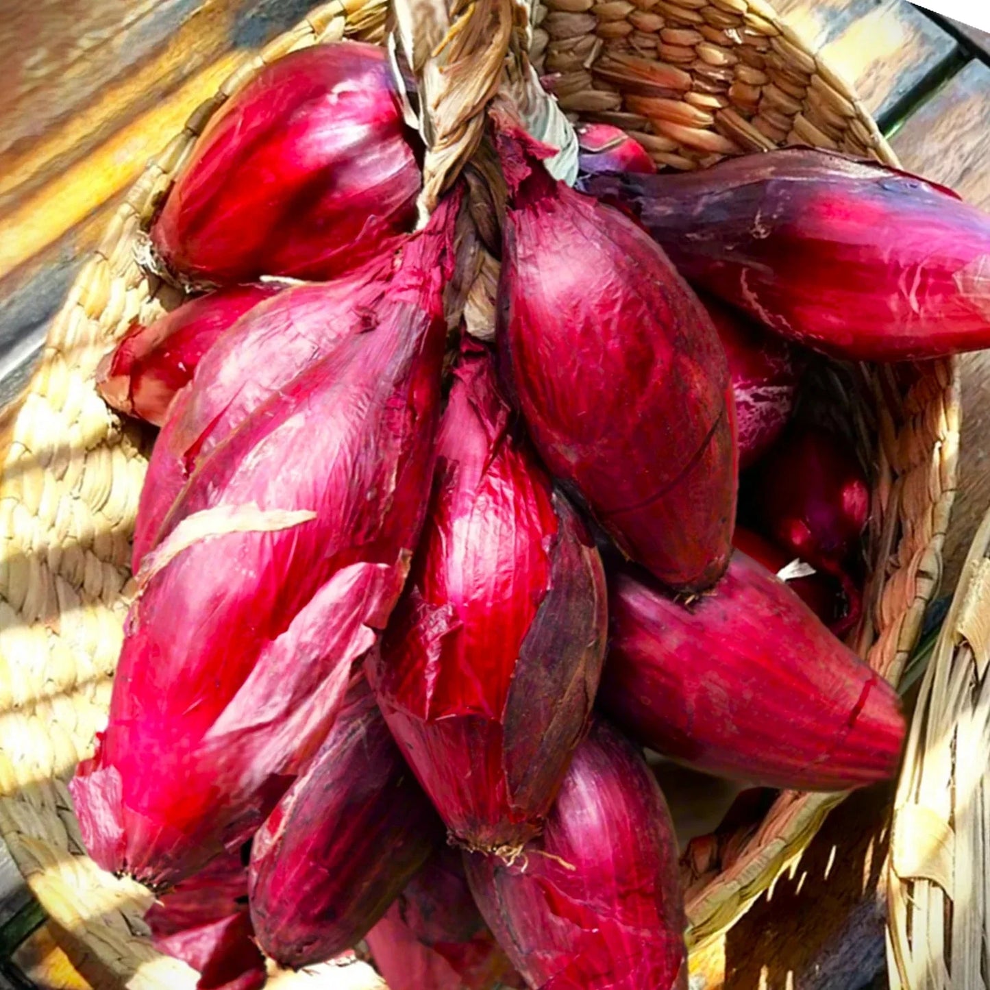 Red Tropea Onion Seeds - Italian Cipolla Rossa di Torpea - Non-GMO Allium cepa for Gardening & Cooking