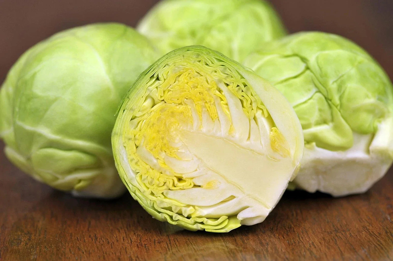 Brussel Sprouts Seeds 250+ Pack Long Island Variety Brassica oleracea var. gemmifera for Home Gardening