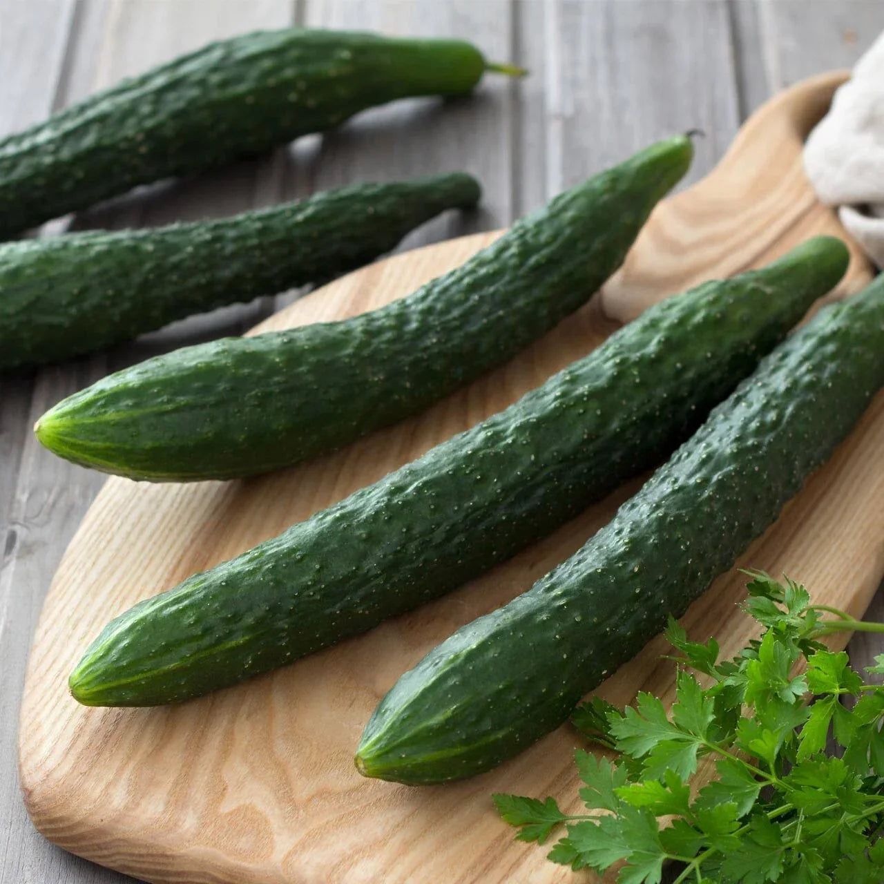 Suyo Long Cucumber Seeds - 25+ Heirloom Non-GMO Organic Cucumis sativus