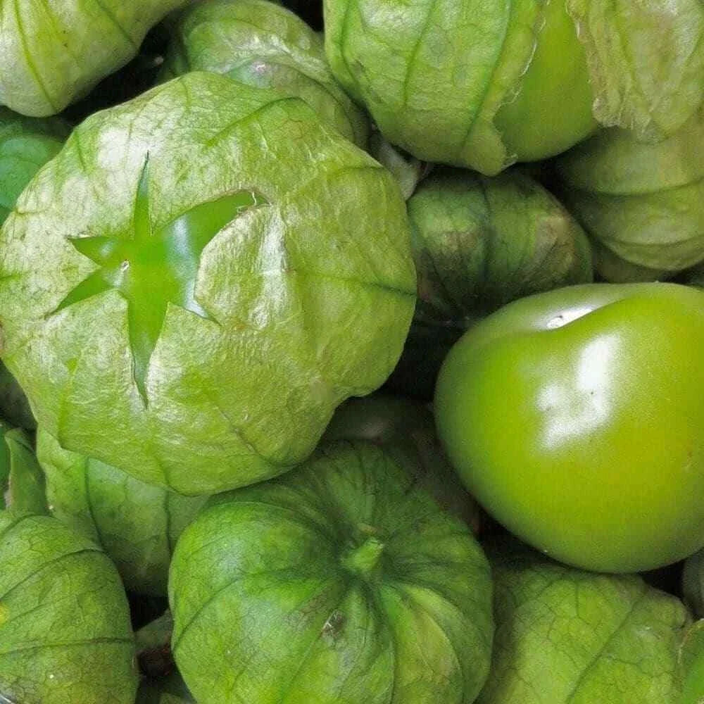 Tomatillo Seeds 50 Ct Heirloom Non-GMO Grande Rio Verde Physalis ixocarpa Vegetable Seeds for Gardening