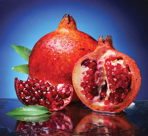 Pomegranate Tree Cuttings 5+3 Scions for Grafting and Rooting Punica granatum 'Wonderful'