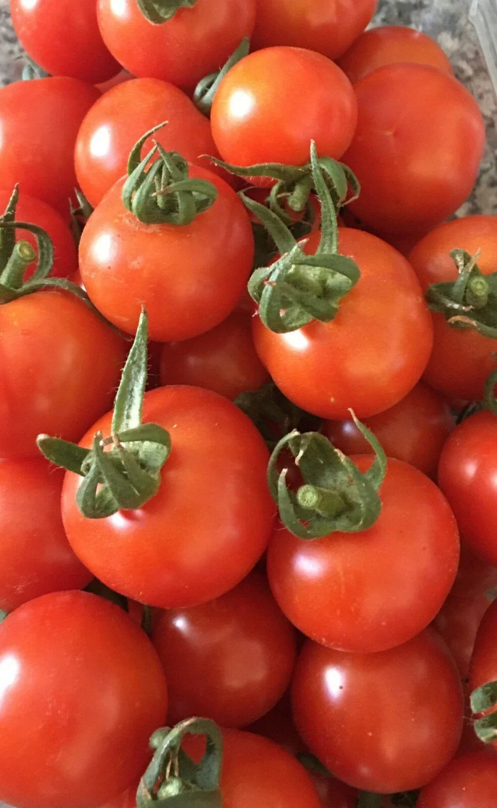 Organic Red Sweetie Cherry Tomato Seeds - 100+ Lycopersicon esculentum Heirloom Fruit Vegetable Seeds for Home Garden