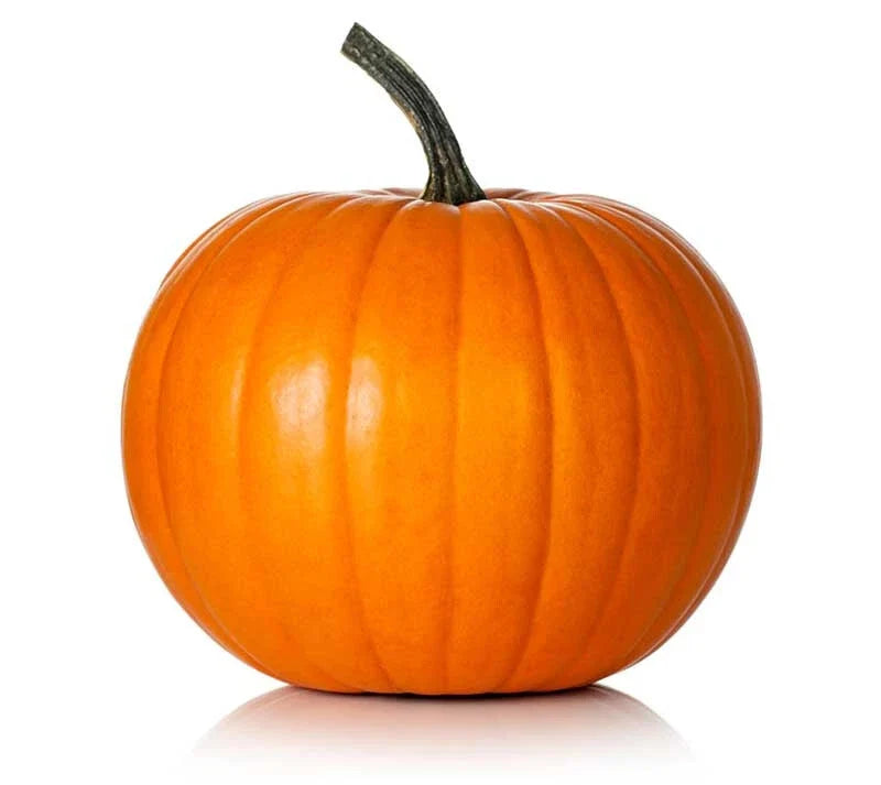Hijinks Pumpkin Seeds Pack of 25+ Cucurbita pepo Non-GMO Garden Planting for Home, Patio & Community Gardens