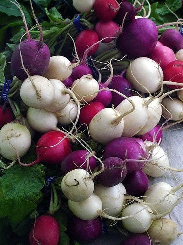 Jelly Bean Radish Seeds - Pack of 200 - Vibrant Colorful Vegetable Seeds for Home Garden - Raphanus sativus