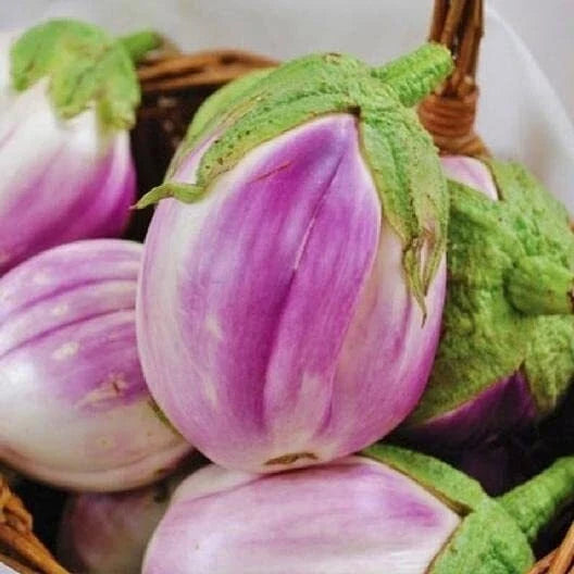Rosa Bianca Eggplant Seeds - Heirloom Non-GMO, Organic Vegetable Garden, Solanum melongena, Edible, Container-Friendly, 50+ Seeds