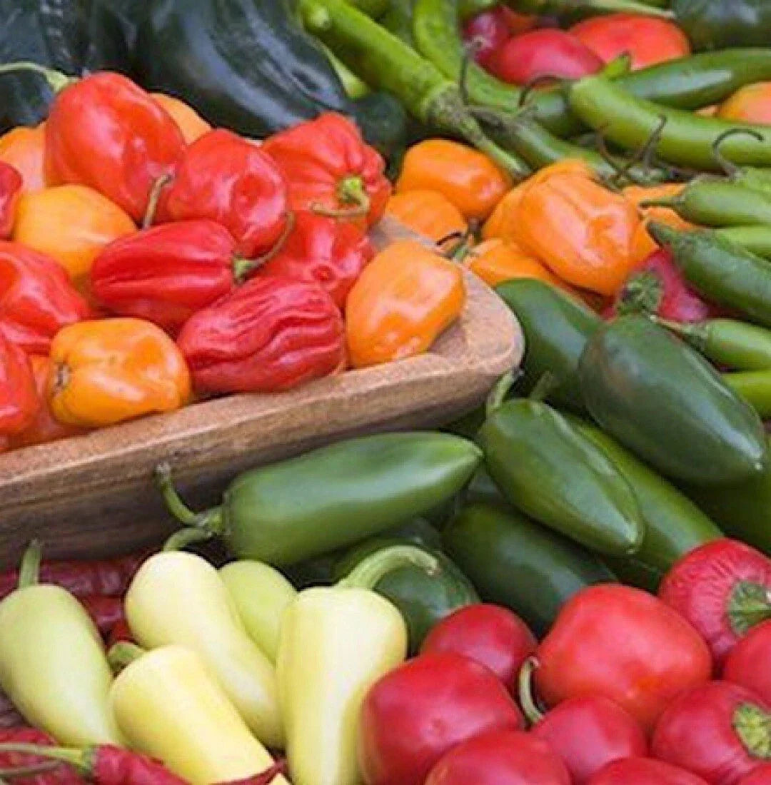 Mixed Pepper Seeds - 100+ Varieties Including Ghost, Habanero, Jalapeño - Capsicum Annuum & Chinense for Home Gardening