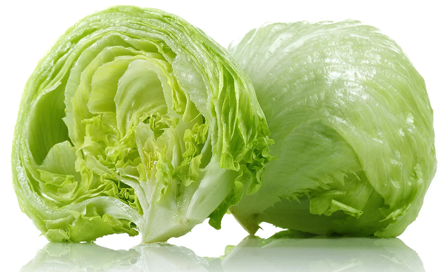 Crisphead Iceberg Lettuce Seeds - 1200+ Non-GMO Organic Seeds USA Grown