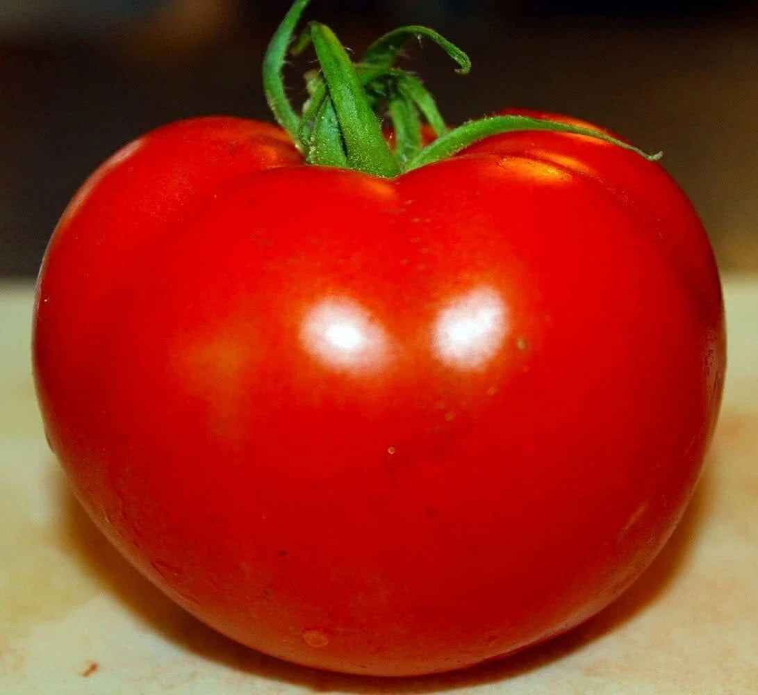 Celebrity Tomato Seeds - Disease Resistant Solanum lycopersicum, Compact Growth, 50 Pack