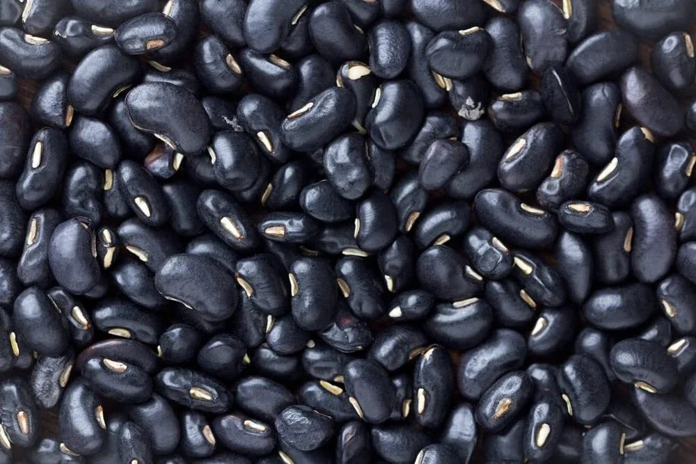 Black Bean Seeds for Planting - 30 Seeds, Phaseolus vulgaris, Easy to Grow, Bush-Type, High Nutritional Value