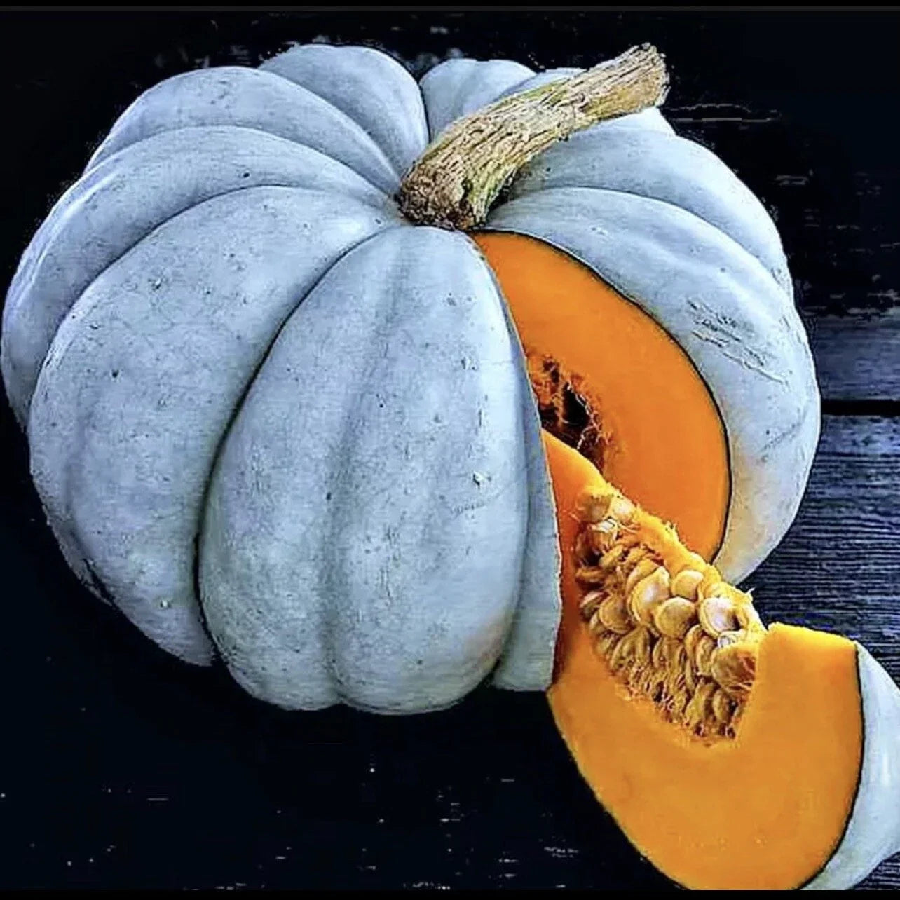 Blue Pumpkin Seeds Pack of 25 | Jarradale Queensland Cinderella Doll | Rare Cucurbita maxima Seed for Decorative & Culinary Use