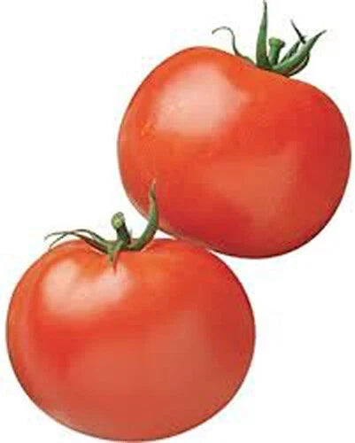 Rutgers Heirloom Tomato Seeds - 100+ Non-GMO Seeds for Home Garden, Solanum lycopersicum, Heirloom Variety