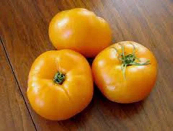 Heirloom Tomato Seeds - Jubilee Variety, 100 Non-GMO Solanum lycopersicum for Vegetable Gardens