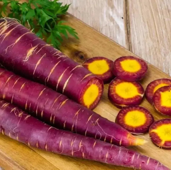 Cosmic Purple Carrot Seeds - 100+ Organic Heirloom Non-GMO Daucus carota