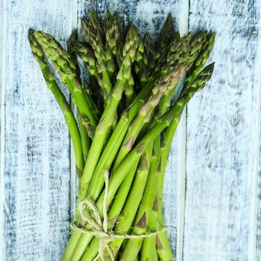 Asparagus Seeds - 50 Count - UC 157 F2 Heirloom High Yield Variety - Perennial Vegetable Seeds - Asparagus officinalis