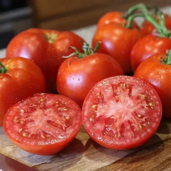 Better Boy Tomato Seeds - 50 Count Pack - 2024 Harvest - USA Grown