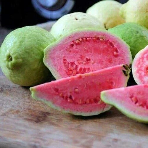 Taiwan Pink Guava Seeds - 50+ Pack for Garden Planting - Psidium guajava - Tropical Fruit, Pink Flesh, Easy to Grow