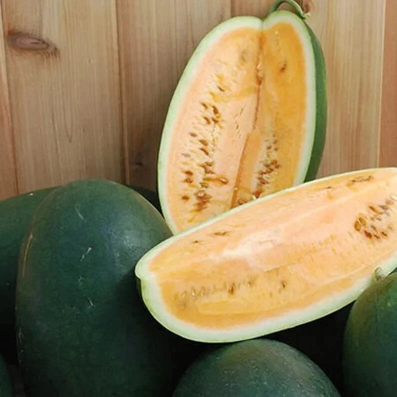 Organic Sweet Siberian Watermelon Seeds - Heirloom Non-GMO Pack of 10 - Citrullus lanatus for Backyard Gardening