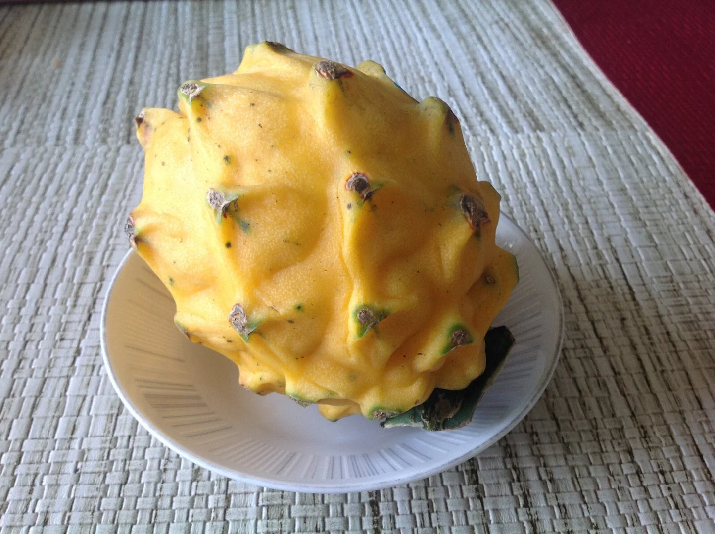 Yellow Dragon Fruit Seeds, Golden Pitaya, Hylocereus megalanthus, Exotic Fruit Seeds for Gardening, Easy to Grow