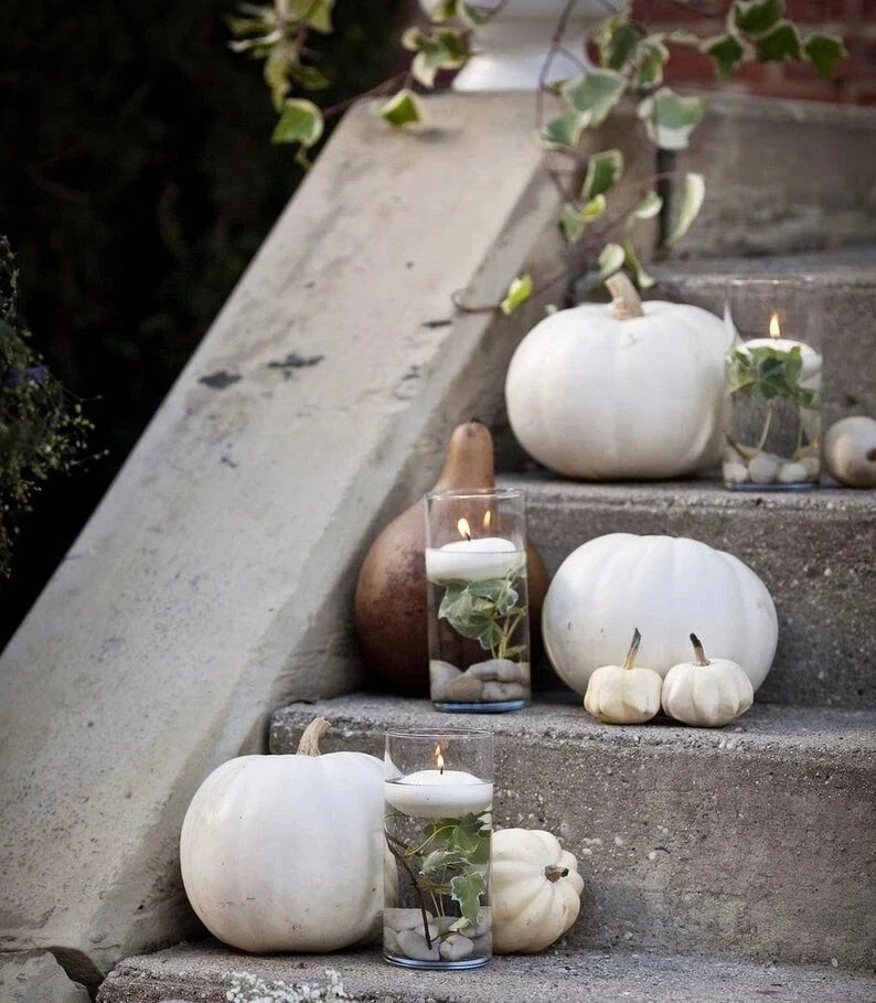 White Pumpkin Seeds Collection – Ghost, Casper, Baby Boo – Cucurbita pepo, Vining, Decorative & Culinary Seeds